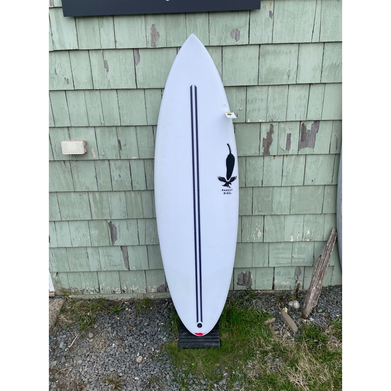 Chilli Rarest Bird 5’9