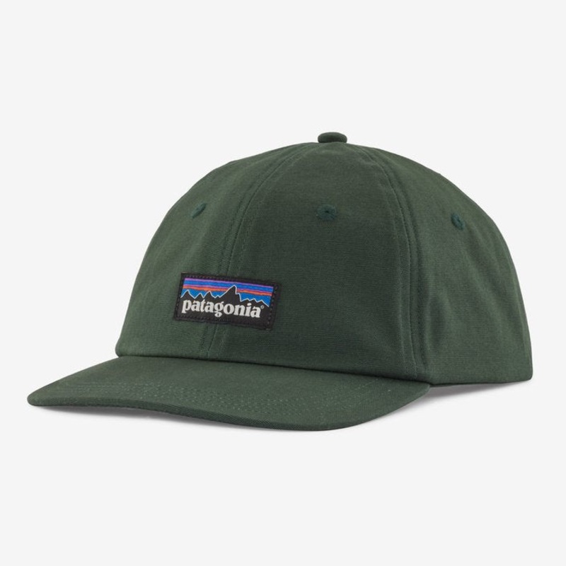 Patagonia P-6 Label Trad Hat-Pinyon Green
