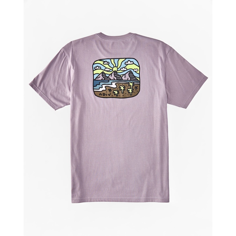 Billabong Shine Tee-Purple Ash