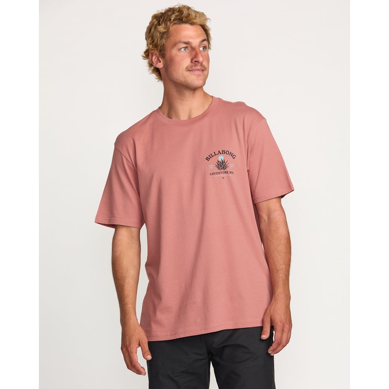 Billabong Agave Adiv Tee-Dusty Rose