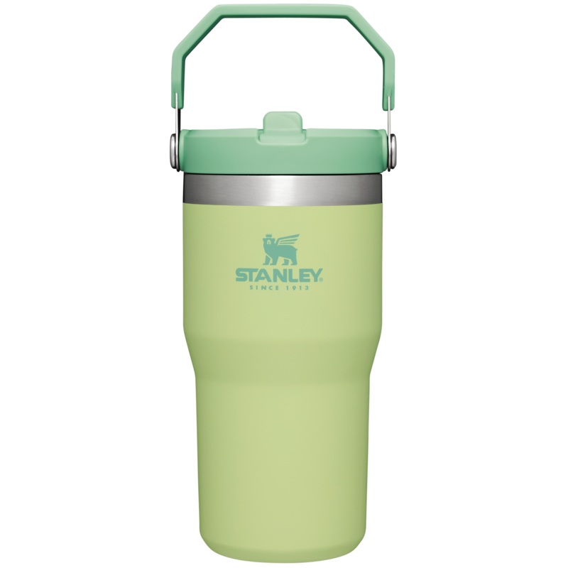 Stanley IceFlow 20 oz Flip Straw Tumbler-Citron