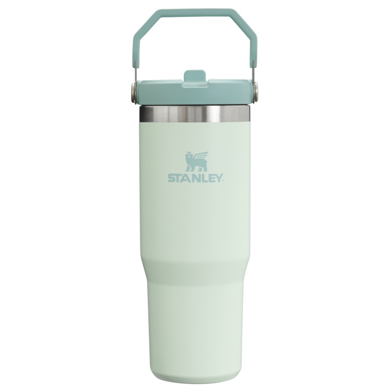Stanley IceFlow 30 oz Flip Straw Tumbler-Mist