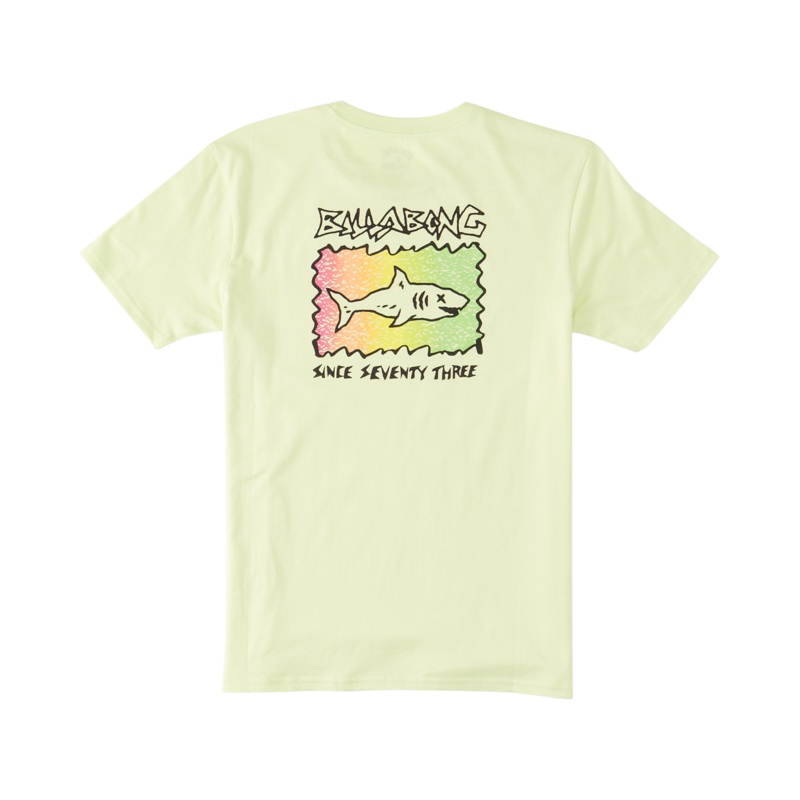 Billabong Boy’s Sharky Tee-Light Green