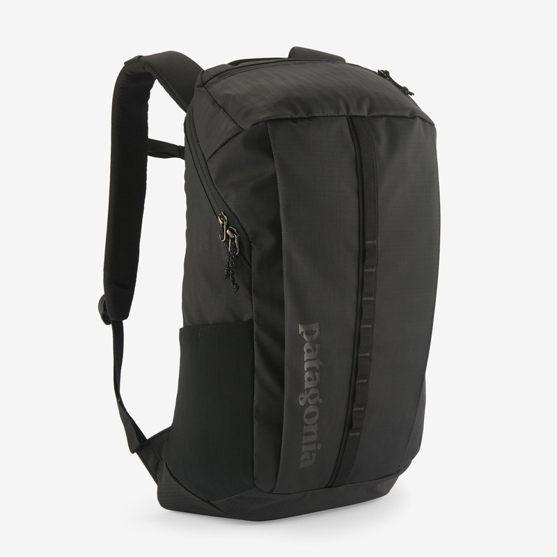 Patagonia Black Hole 25L Backpack-Black