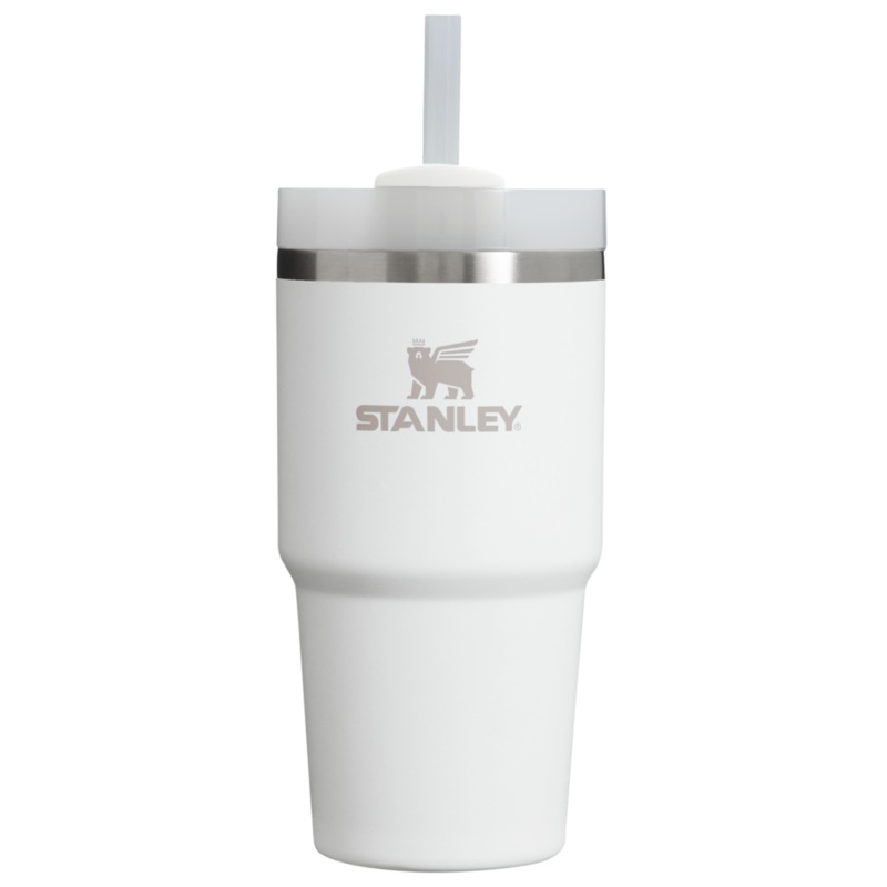 Stanley Quencher H2.O FlowState 20 oz Tumbler-Frost