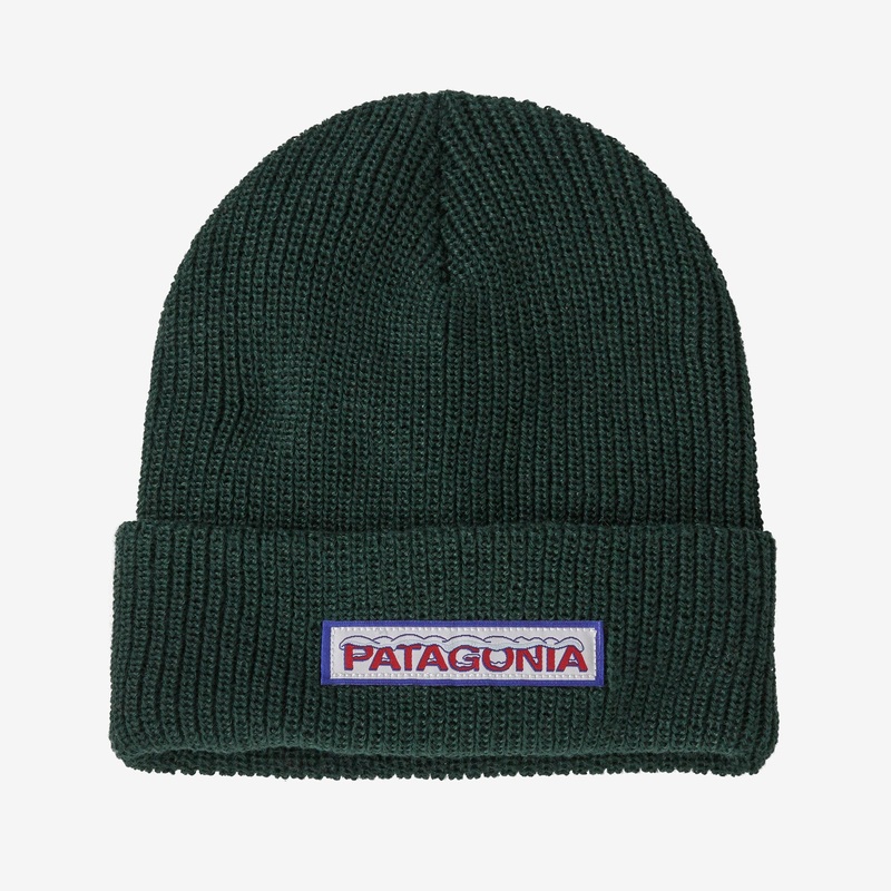 Patagonia K’s Logo Beanie-Chill: Conifer Green