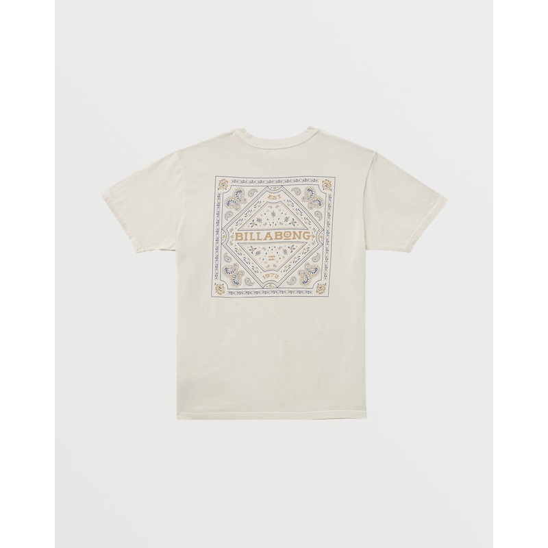 Billabong Paise Haze Premium Tee-Chino