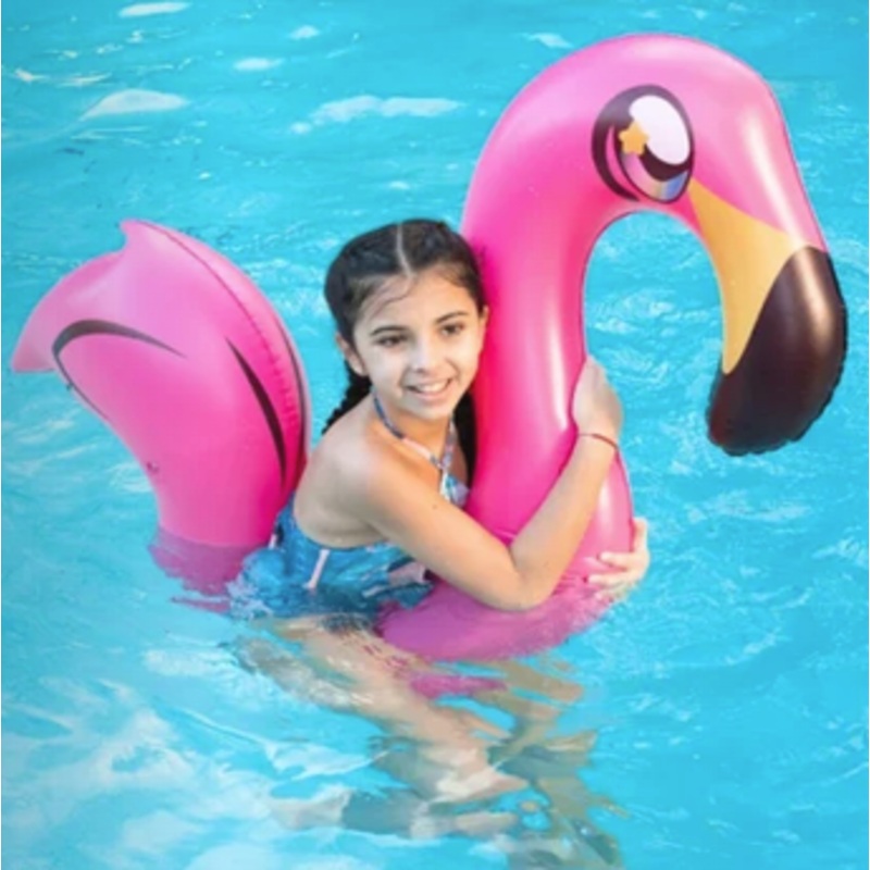 Flamingo Ride-On Noodle