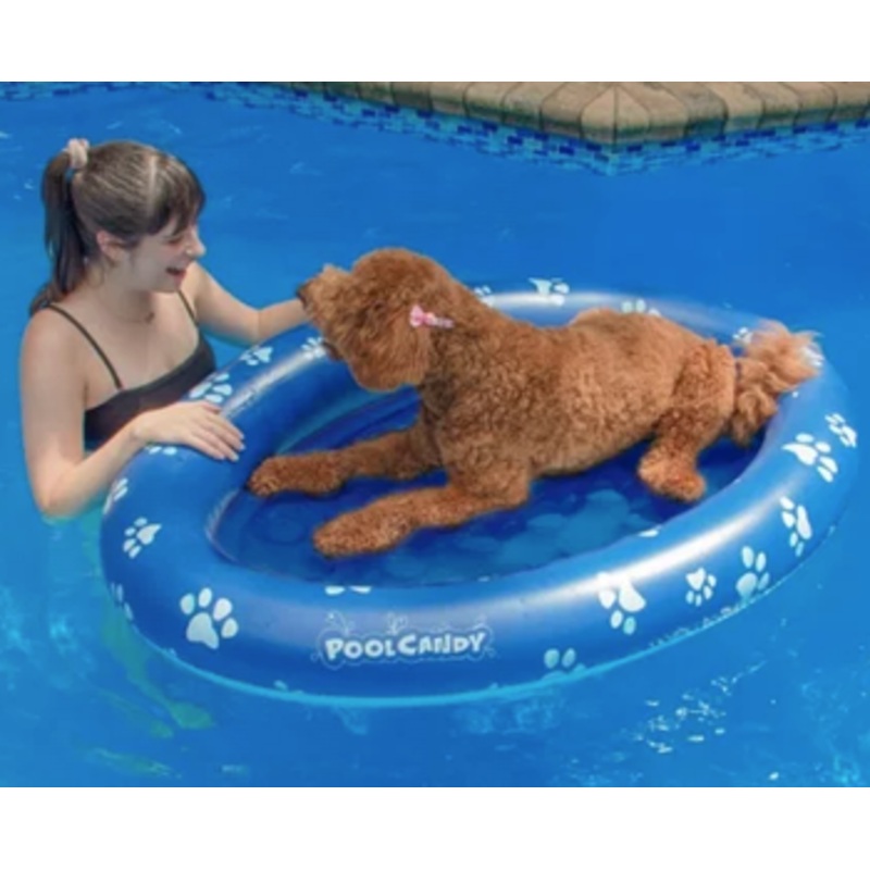 Inflatable Pet Float – Large Dog