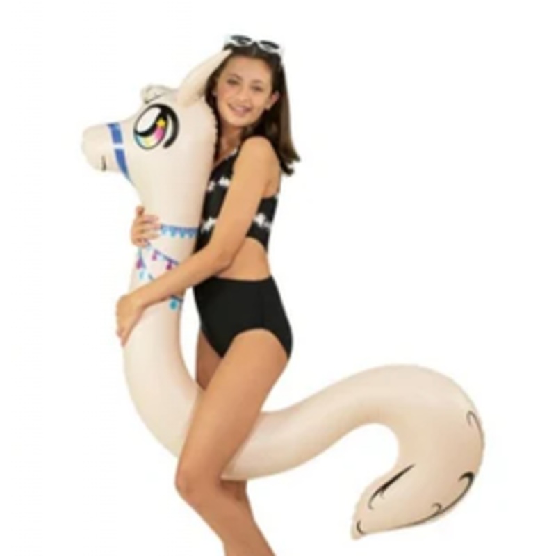 Llama Ride-On Pool Noodle